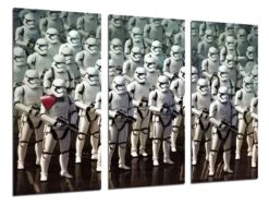 Cuadro De Los Stormtrooper Legión Star Wars(Cuadro De Los Stormtrooper Legion Star Wars)