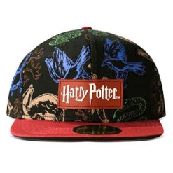 Gorra House Crests Harry Potter(Gorra House Crests Harry Potter)