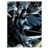Poster Cristal Batman Dc Comics(Poster Cristal Batman Dc Comics) -Figuras De Modelo img 148361 081a0b87f029a0532967c954c6f7a29a 1 4dba9b48 048a 4ee7 b08a 26cbd98fb6d1