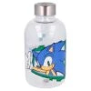 Botella Cristal Sonic The Hedgehog 620Ml(Botella Cristal Sonic The Hedgehog 620ml)